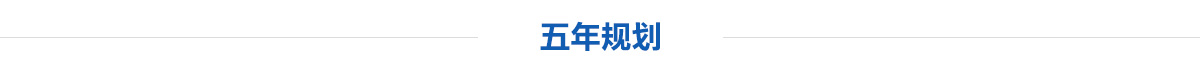 五年规划